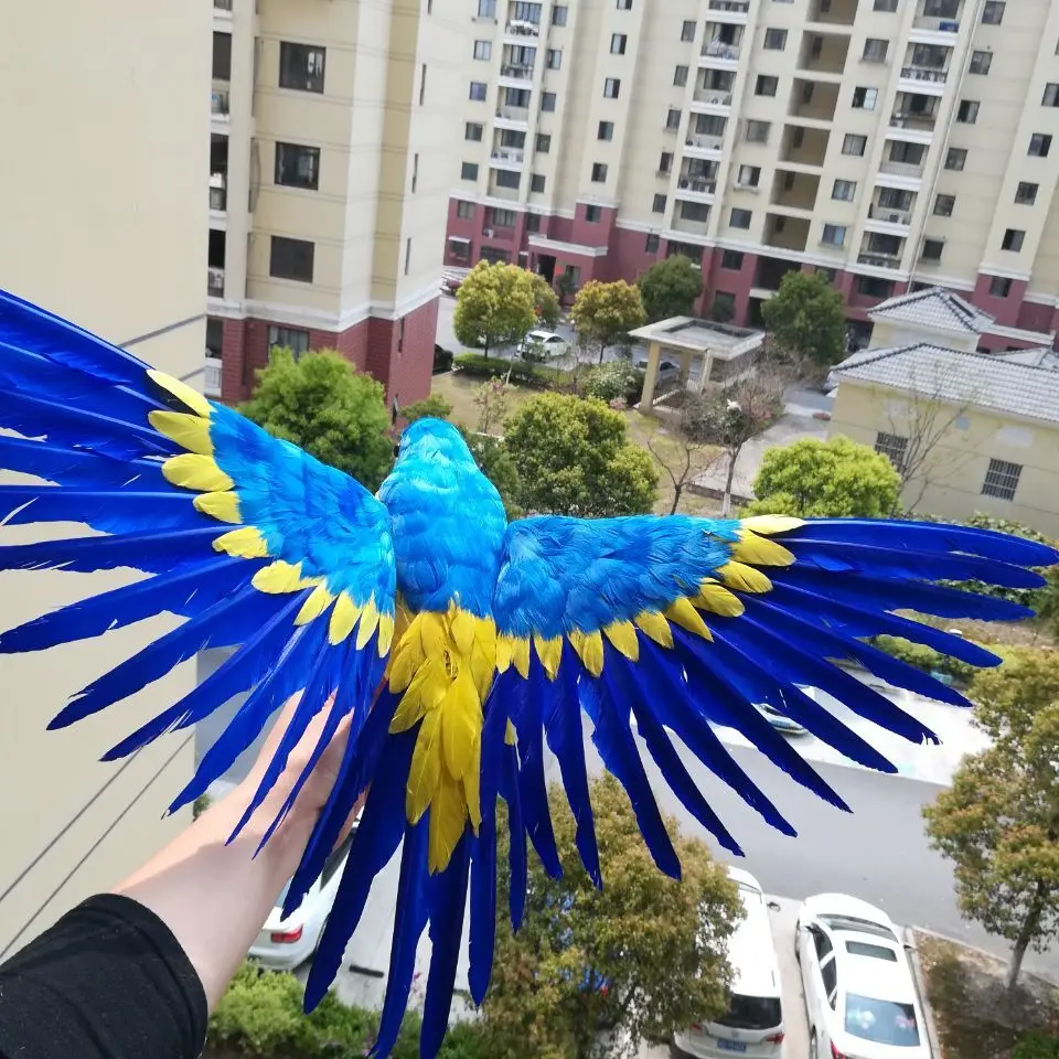 new real life parrot model foam&feather wings blue&yellow parrot bird  gift about 40x60cm d0192