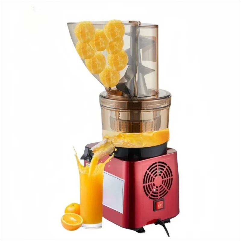 300/500/750W Multifunctional Powerful Slow Speed Fruit and Vegetable Juicer