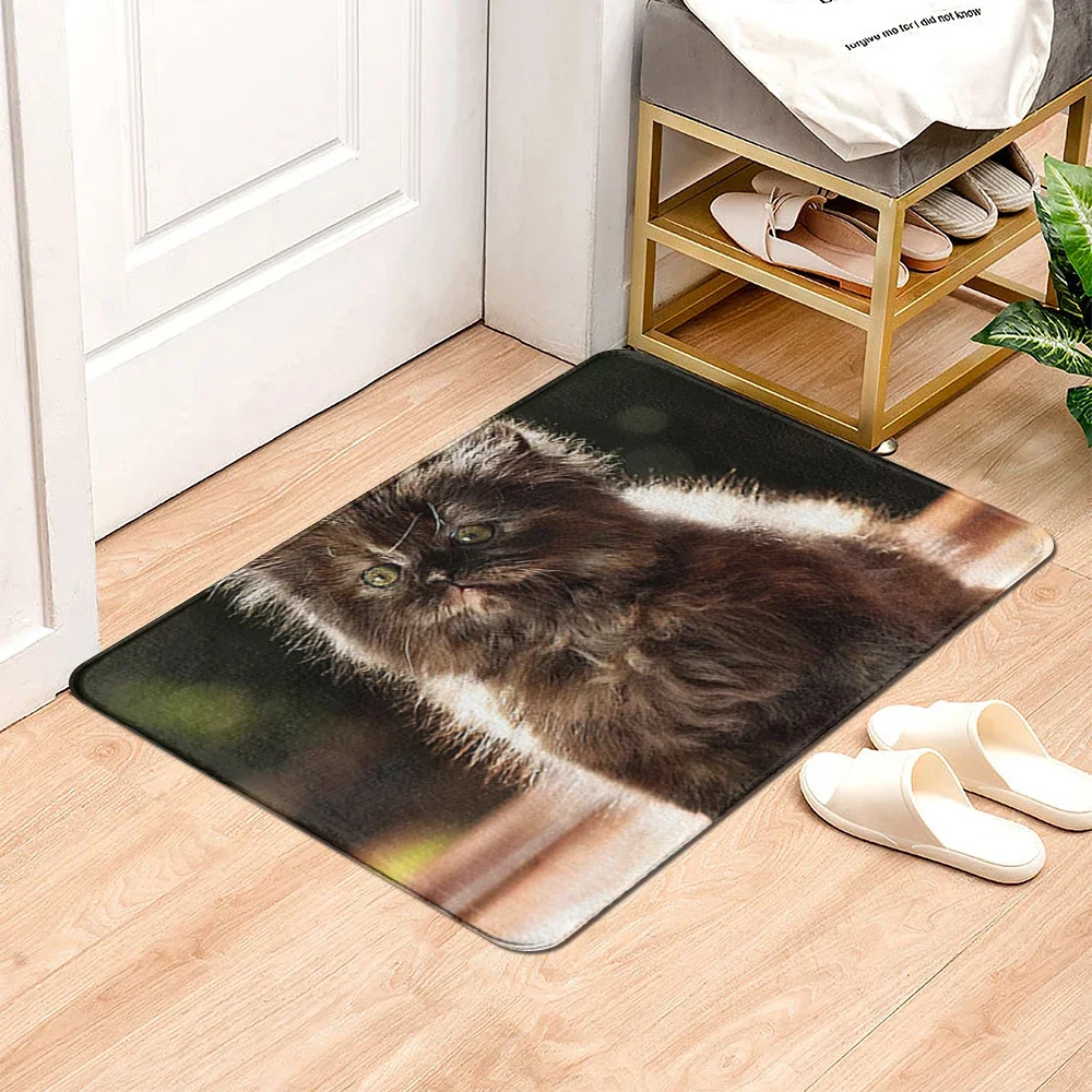 Animal Mat Bathroom Small Rug Shower Mat cat Decorative Mat Entrance Door Mat Balcony Room Mat room mat Bathtub toilet rug qq