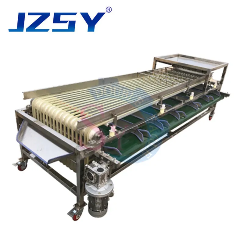 Máquina clasificadora profesional de alto rendimiento, 5 niveles, naranja, frutas y verduras, cereza, tomate, nuez, patata pequeña, cítricos