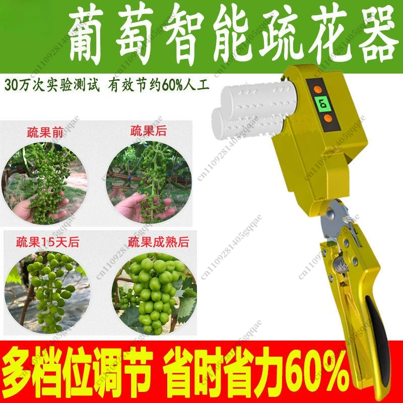 Elektrische Traubenblüten-Verdünnungsmaschine für Sunshine Rose Knospen- und Beeren-Trimmwerkzeug – Detail 3
