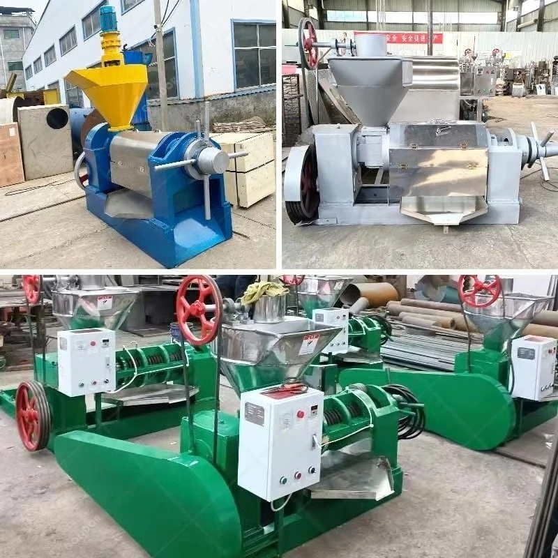 Customized 1-2t H 3T H Soybean Olive Palm Kernel Cold Oil Expelling Press Machine Oil Mill Plant
