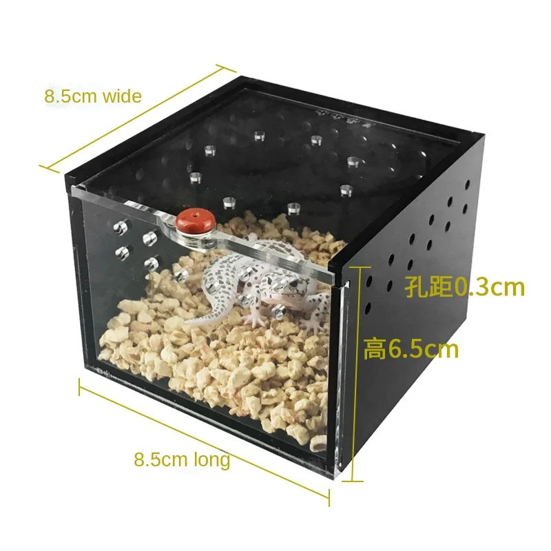 Spider Box Crawler Pet Feeding Palace Guard Lizard Silkworm Scorpion Japanese Rhinoceros Beetle Beetle Insect Black Acrylic