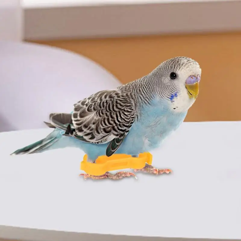 

Baby Chick Splay Leg Hobble Brace, 12 шт., подтяжки для цыплят для ремонта спринкле, регулируемые товары для здоровья скота для новорожденных