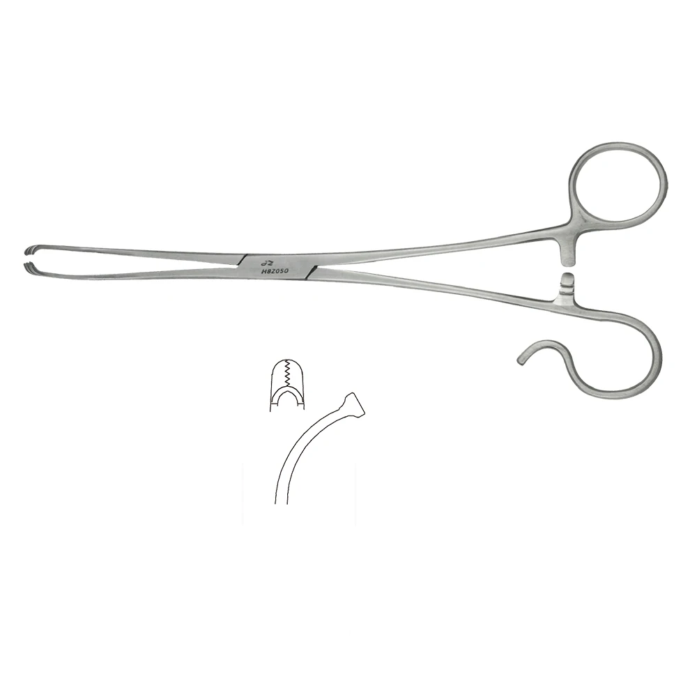 Tonsil Holding Forceps 22cm Teeth ENT Ears Nose and Throat Surgical Instruments