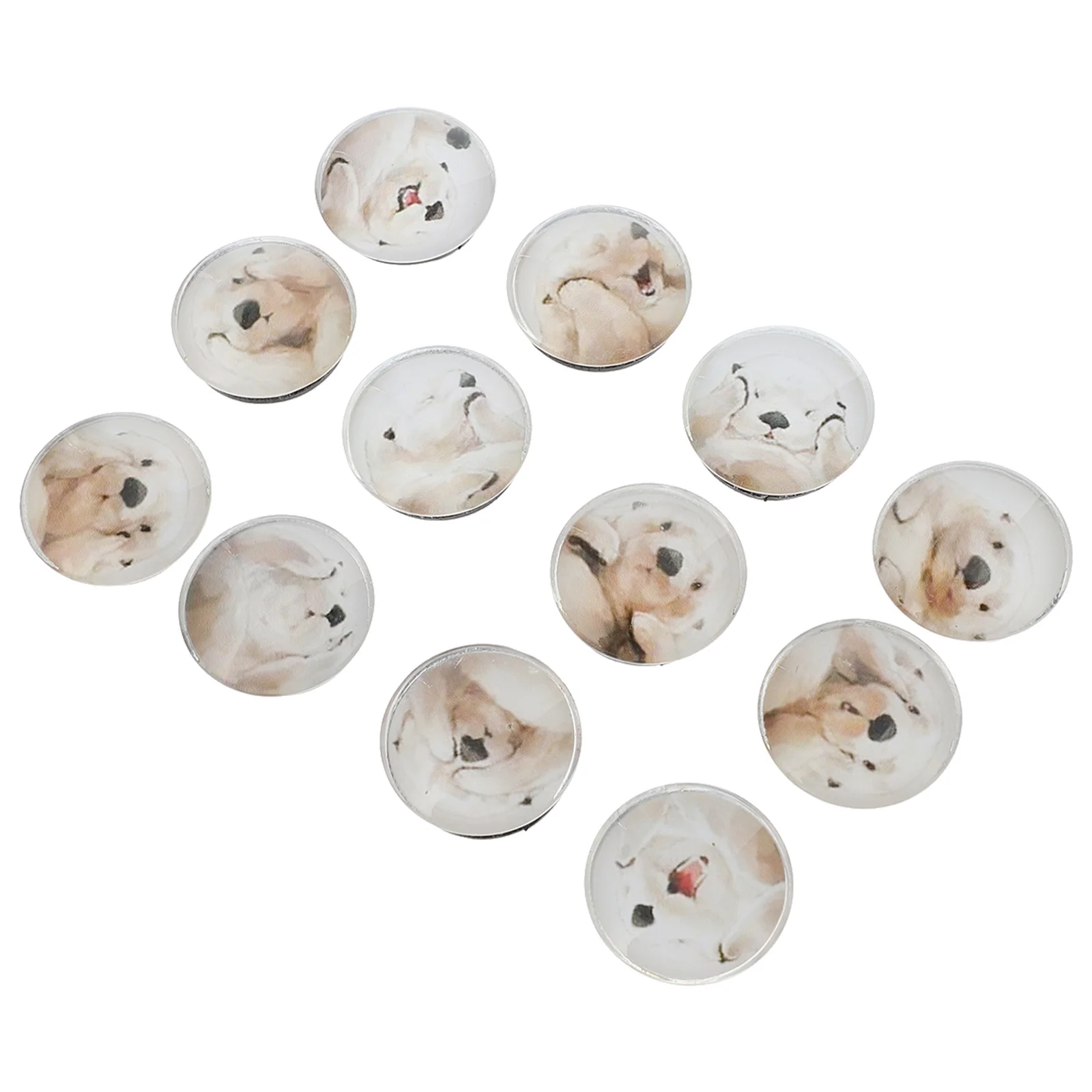 

12Pcs Glass Fridge Magnets Otter Pattern Magnetic Stickers Waterproof Decorative Stickers for Refrigerator Microwave Oven