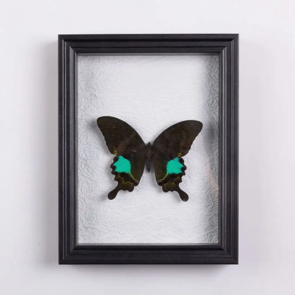 Creative 3D Shadow Box For Art Projects Specimen Display Holder Wooden Aesthetic Home Decorative Picture Frame Craft