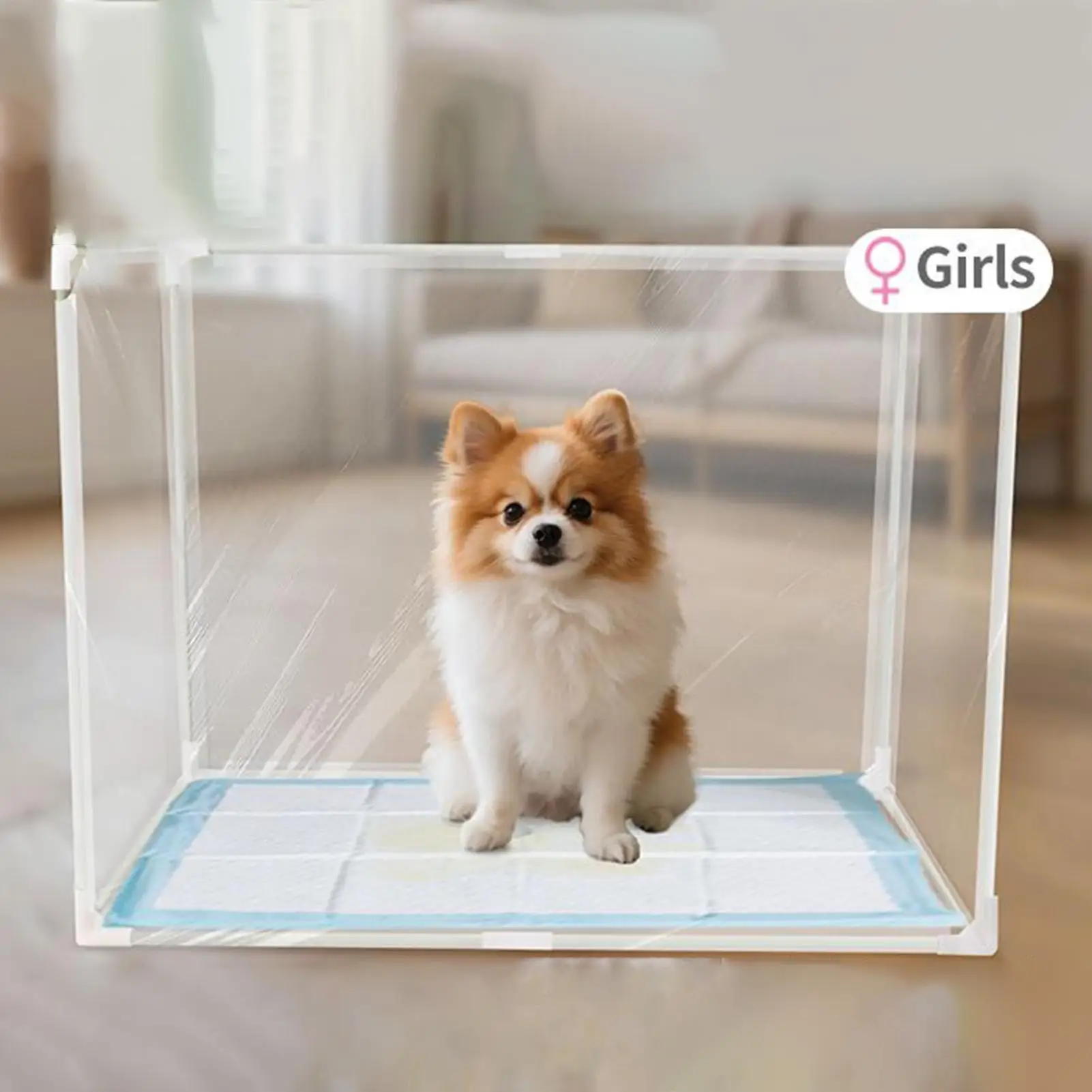 Litter Box Shield Foldable Pee Splash Guard Box Enclosure Transparent High Sided Dog Litterbox Privacy Screen For Bedroom Dorm