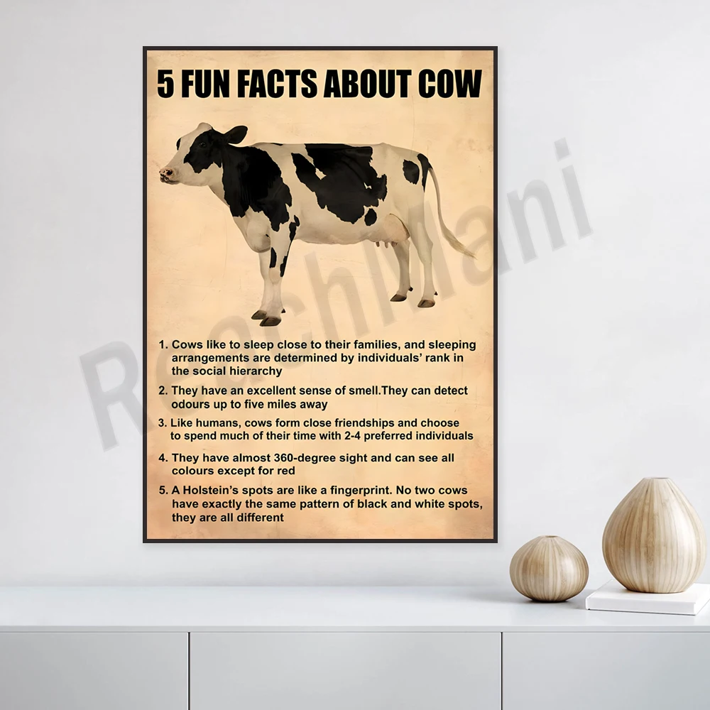 Cow Facts – 5 Fun Facts About Cows Cows love to sleep next to their families and sleeping arrangements are a sure thing poster