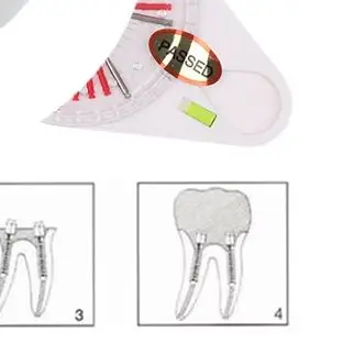 

[YAKE]Dental Link Pins Conical Screw Self-threading Dental Root Pin Oral Fixation Tools Materials BM 0.60 0.65 0.70 0.75 Size