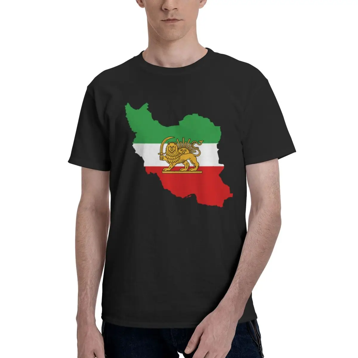 Men Iran Flag Map Persian Lion And Sun Iranian T Shirt Streetwear Plus Size Cotton Sleeve T Shirts For Men