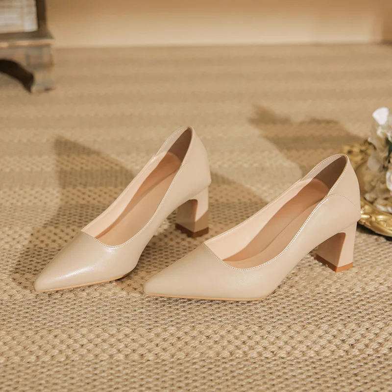 2024 autumn new nude high heels women's thick heel pointed professional commuting versatile temperament single shoes
