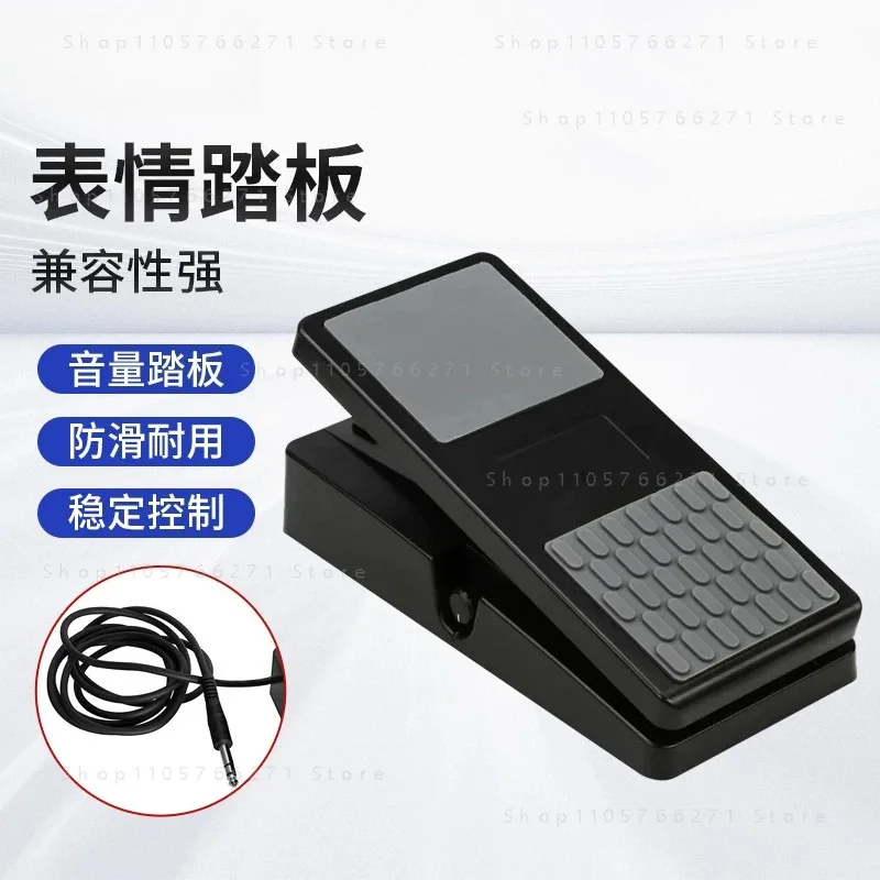 Universal Expression Pedal for Electronic Piano Synthesizer Volume Control Performance Pedal