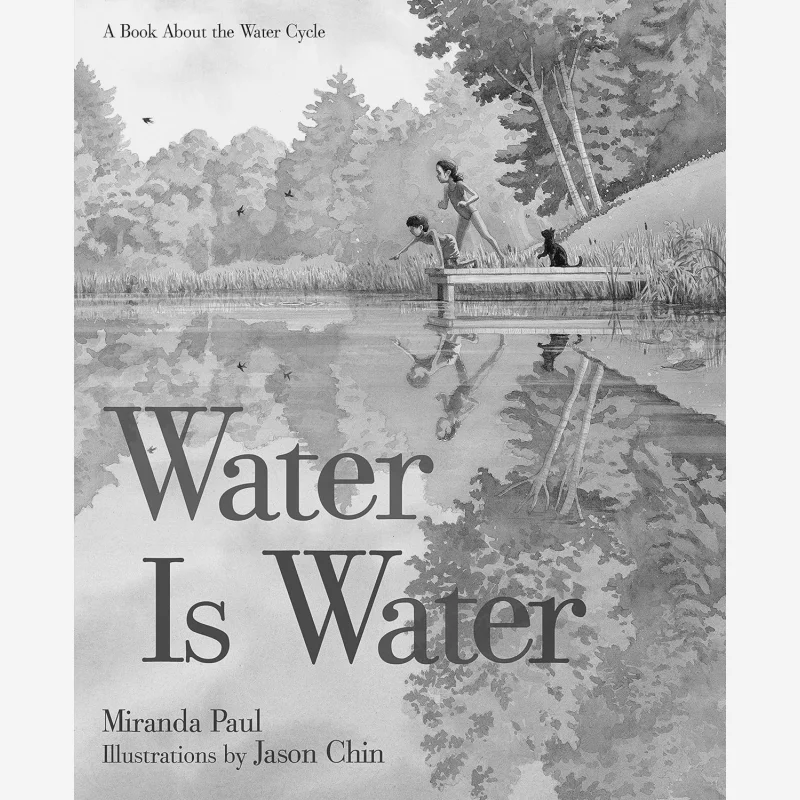 Jason Chin Water Is Water Paul Miranda Roaring Brook Press 9781596439849 Book
