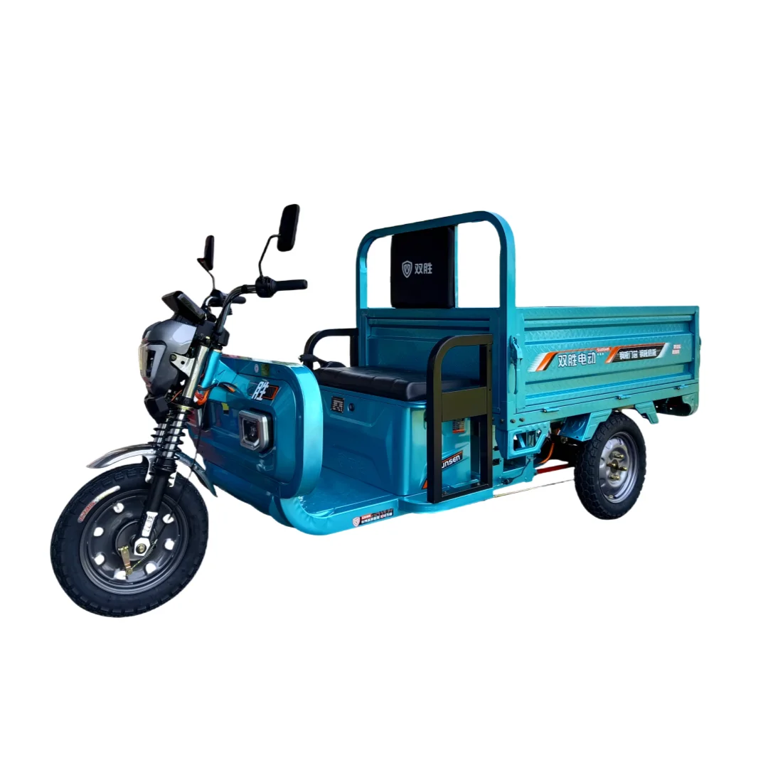 

Factory Selling 1.5m Electric Tricycle Three-Wheel Electric Cargo Delivery Carriage With Self Discharging