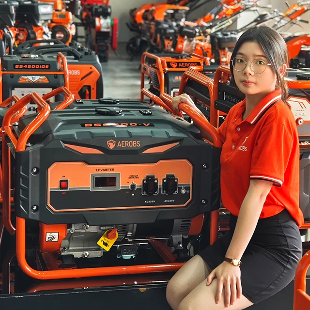 

China 5.5kw Petrol Generators 3 Phase 220v 110v 50hz 60hz Electric 5kw 5000w Generator Price