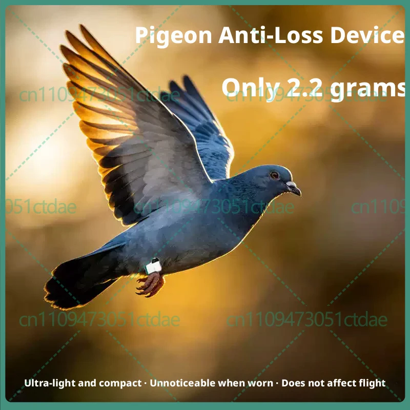1-5pcs For racing pigeon leg band positioner long standby remote flight track recording device