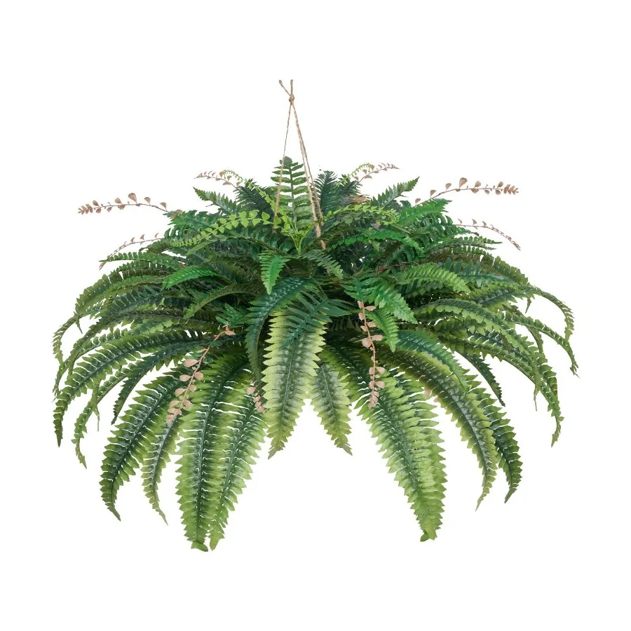 

Artificial Boston Ferns Large Plastic Fern 80 Branches Indoor Outdoor Dr