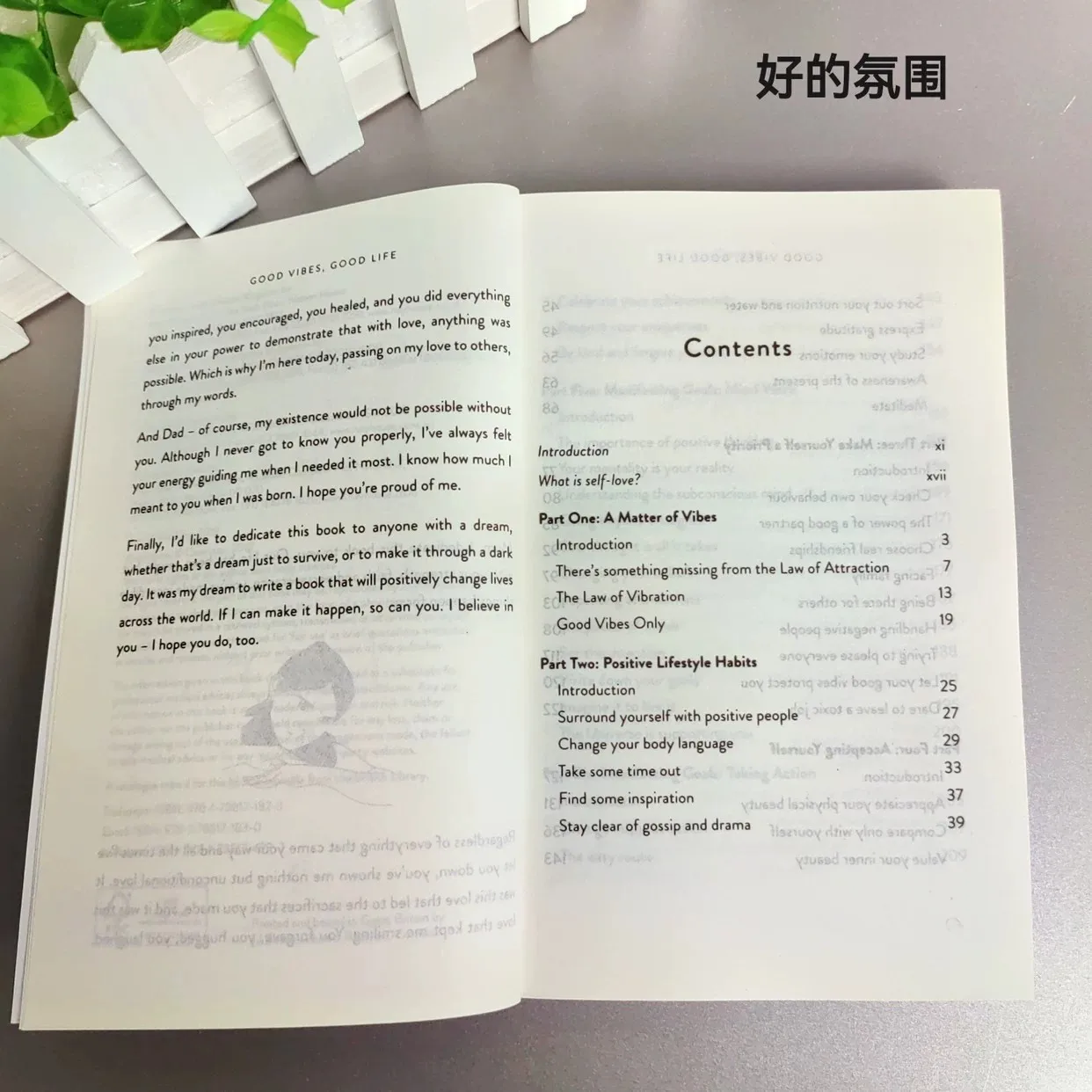 جو الحياة المشاعر الجيدة حياة جيدة Vex King جو جيد الحياة الجيدة النسخة الإنجليزية #6