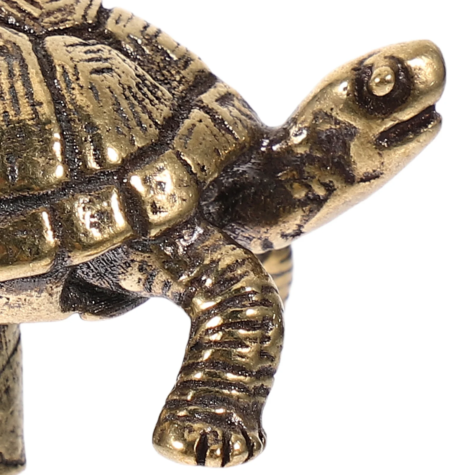 1pc longévité tortue laiton armoire poignées mignon tiroir tire pour chambre armoire meubles matériel placard tirer boutons