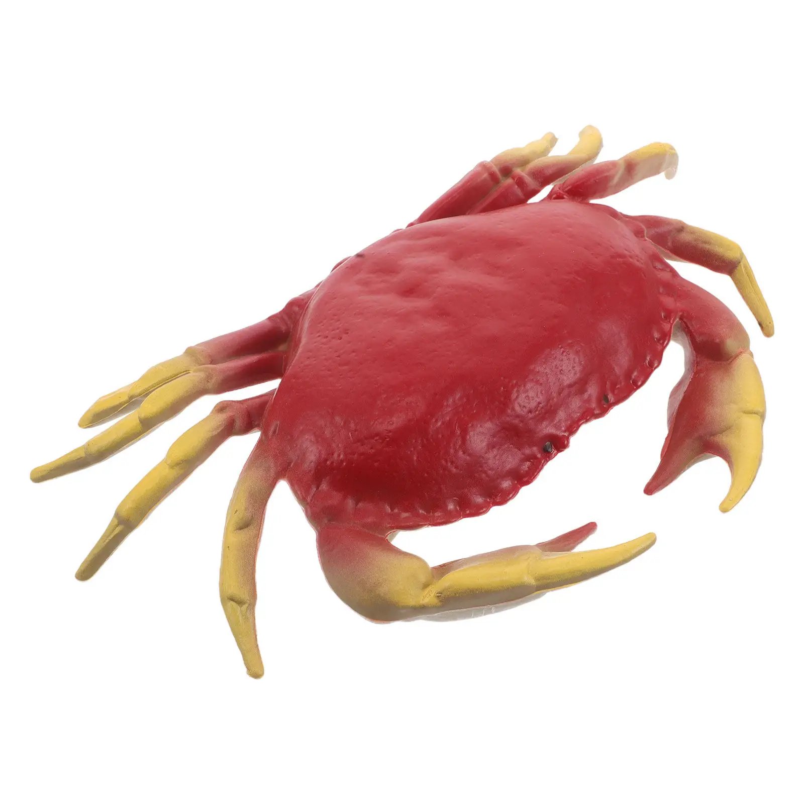 crabes-realistes-simules-ornements-d'animaux-marins-creatures-oceaniques-pour-enfants-et-adultes-decorations-Educatives-et-de-fete