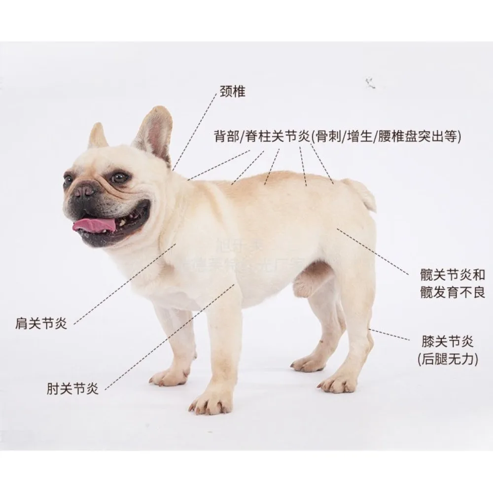 LED Red Light Infrared Light Pet Therapy LED Lamp Dog Leg Red Light Therapy Pad Machine For Dog Back
