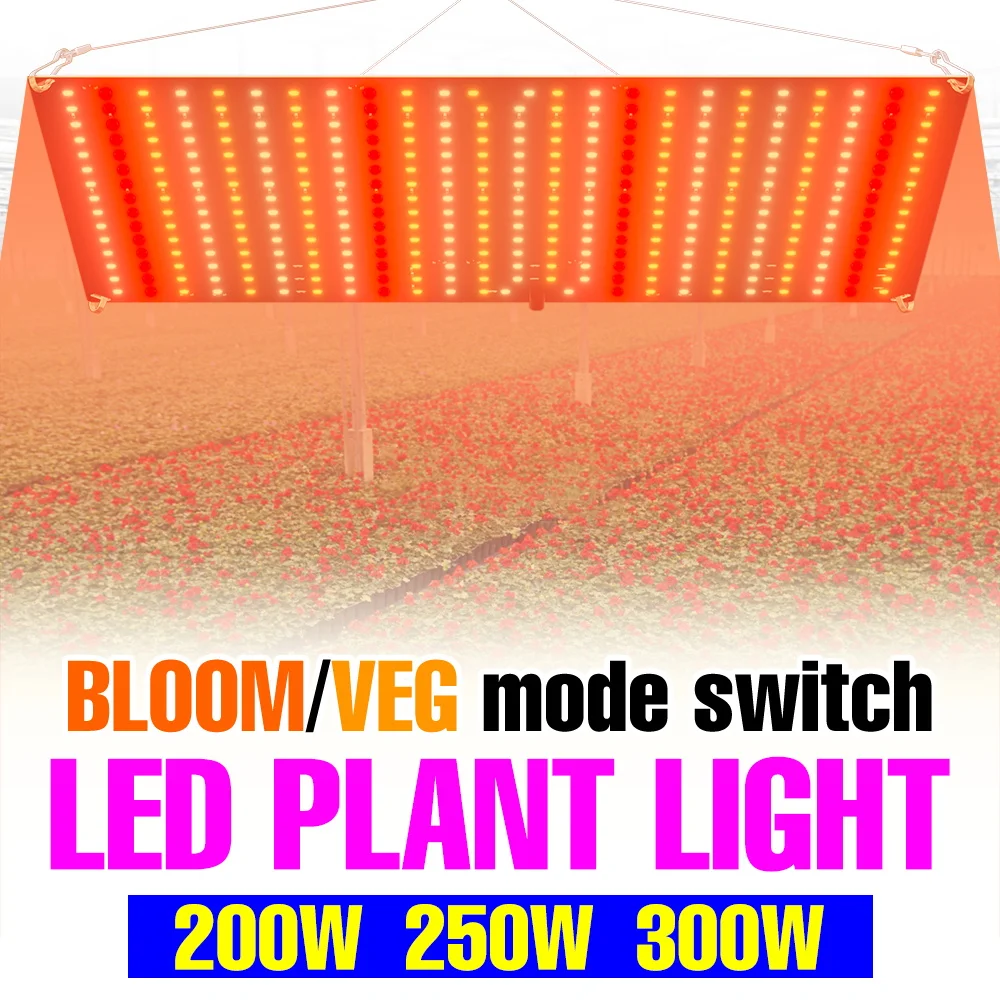 

300W LED Grow Lights Full Spectrum Quantum Board Cultivation Plant Lamp UV/IR Indoor Greenhouse Fruit Vegs Growth Box US/EU Plug