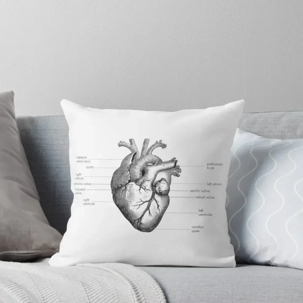 

Anatomy of the Human Heart Throw Pillow Pillowcase Cushion Sofa Cover pillow