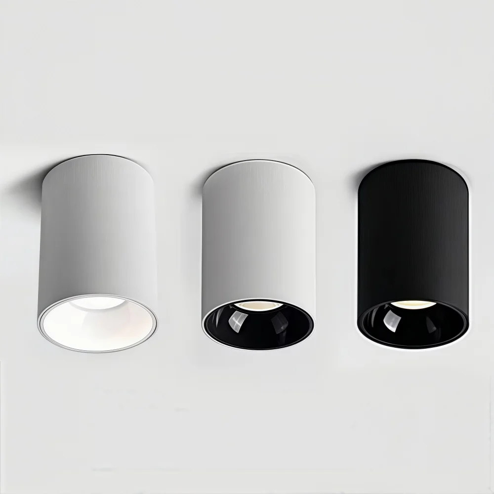 

Dimmable Surface Mounted LED Ceiling Lamp COB Downlight 10W12W15W20W24W AC110V 220V Spot light living room interior lighting