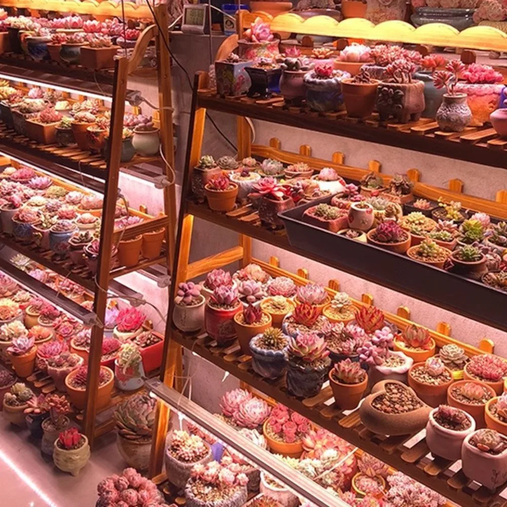 ไฟเติบโตของพืชแบบเต็มสเปกตรัม LED สีแดงสีน้ำเงินสำหรับผัก ดอกไม้ ต้นกล้า ระบบไฮโดรโปนิกส์ แสงเสริม