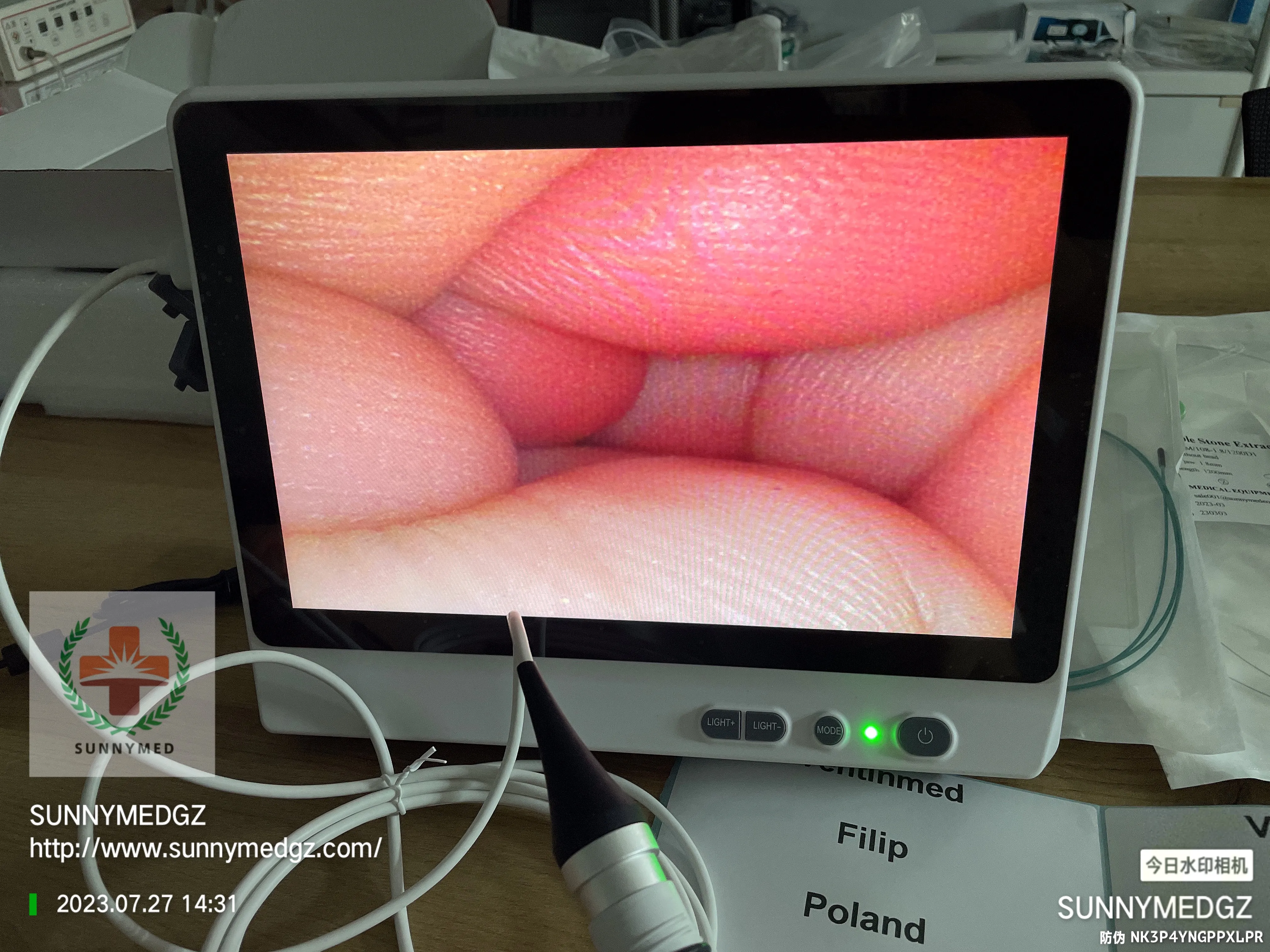 SY-P029-3 Big Screen Handheld Veterinary Convenience Single-Use Flexible Endoscope