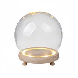 DIY Empty glass snow globe with LED light Promotional hand model dust cover gift light snow dome  flower cover with wooden base