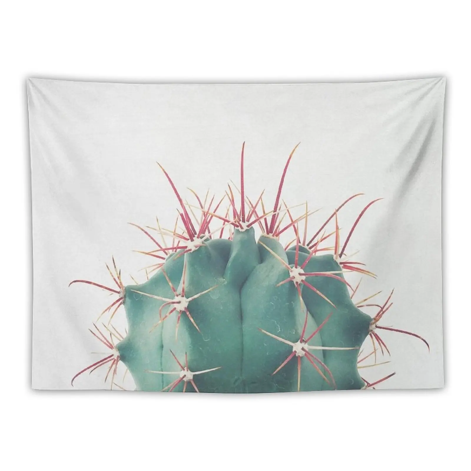 

New Ferocactus Tapestry Wall Hangings Decoration Room Design Korean Room Decor