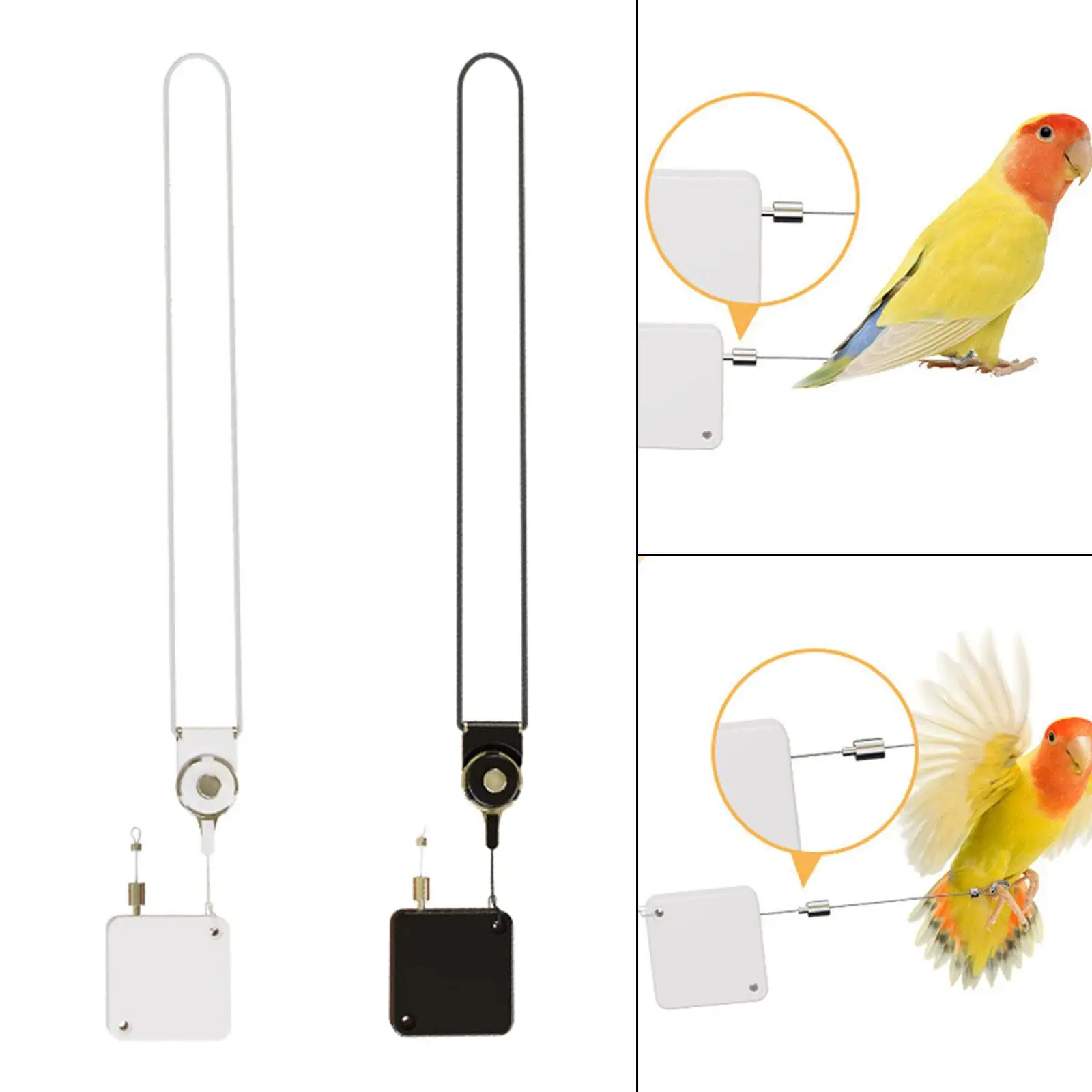 Bird Leash Accessories Pet Bird Walking Rope 210cm Birds Anti Bite String for Parakeet Cockatiels Budgerigar Lovebird Cockatoo