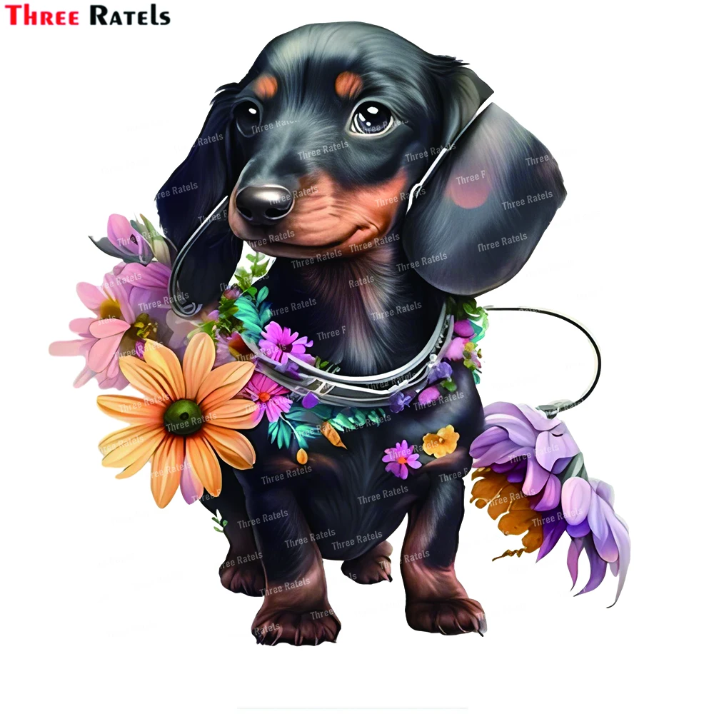 

Three Ratels M44 3d Wallpaper Floral Dachshund Puppy Dog Home Decorations Interior For Home