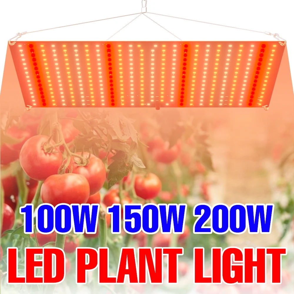 200W LED plante poussent lampe spectre complet lumière du soleil 220V panneau quantique graines culture lampes intérieur serre tente remplissage éclairage