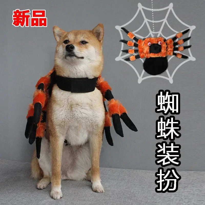

Pet Halloween New Animal Transformation Costume Spider Costume Cat Ghost Festival Costume Dog Costume