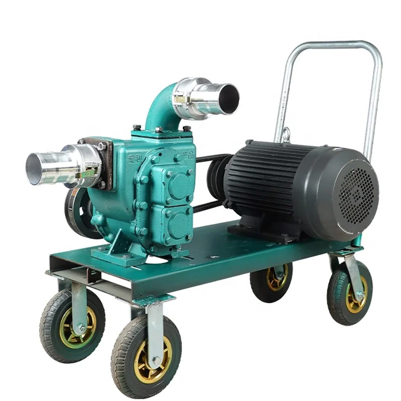 ปั๊มน้ำโคลนแบบจุ่มใต้น้ำสำหรับถังบำบัดน้ำเสีย บ่อปลา ปั๊มดูดมูลสัตว์ปีก-ปั๊มสุญญากาศคุณภาพพรีเมียม