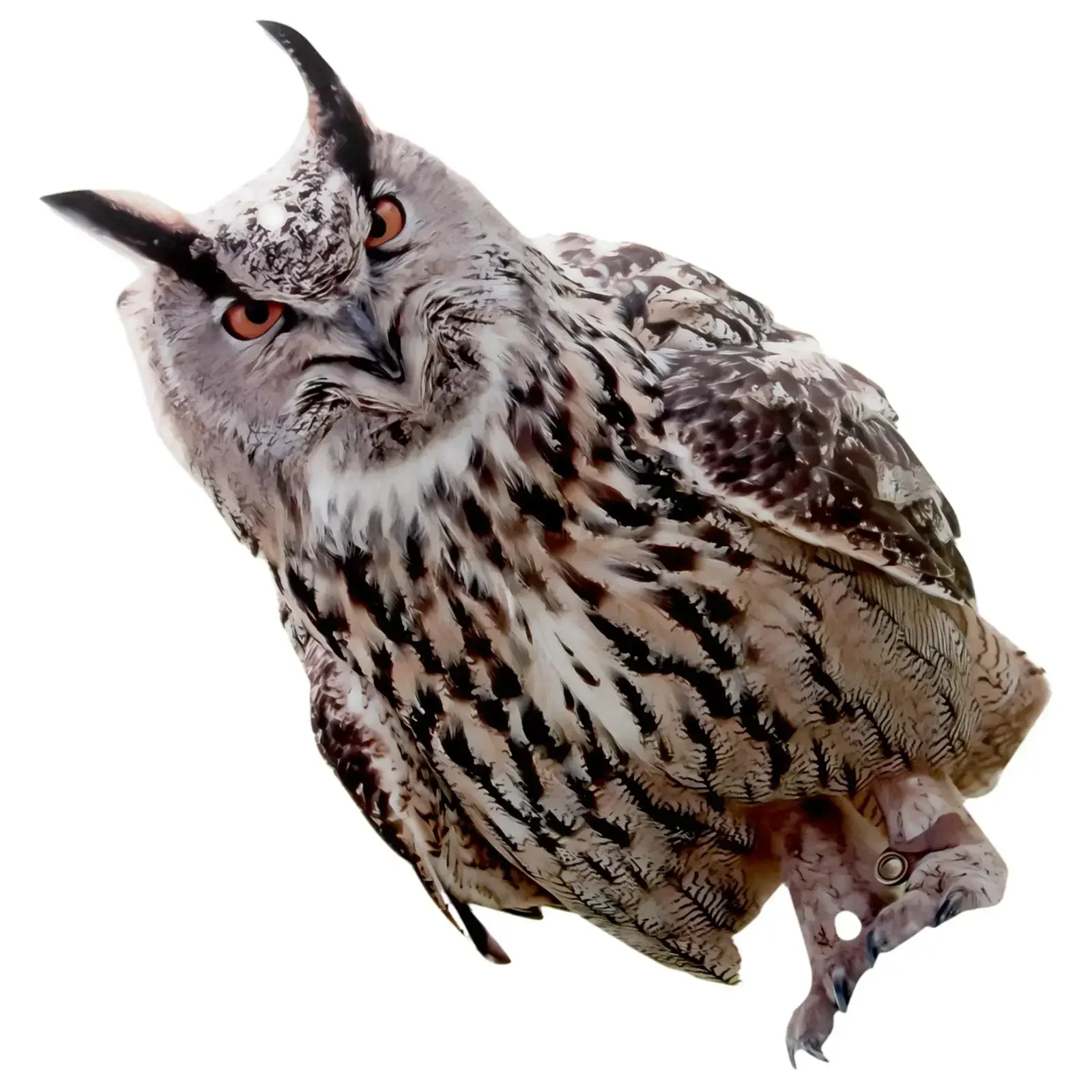 Owl Decoy Waterproof Fake Owl Scarecrow Lifelike Bird Statue Flashing Eyes Frightening Sound Owl Statue Control Devices For Farm