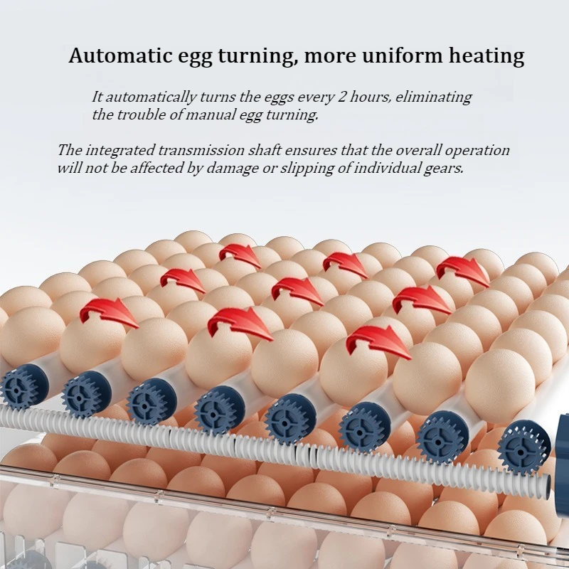 

Smart Fully Automatic Incubator Mini Household Egg Hatcher for Chicken Duck Goose Pigeon Button Quail