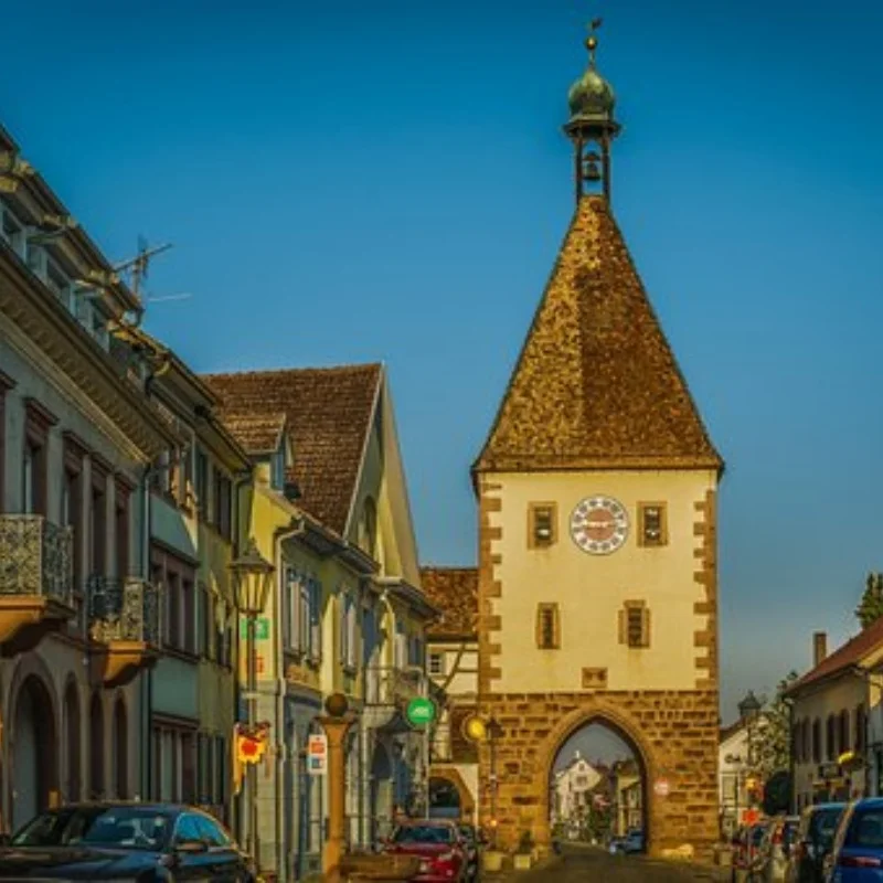 

4 шт. 2,2-дюймовые гусеничные шины, большие 136 мм, резиновая шина для 1/8 радиоуправляемого автомобиля, осевые детали Yikong YK4083 CROSSRC Rhinoceros, обновленные детали