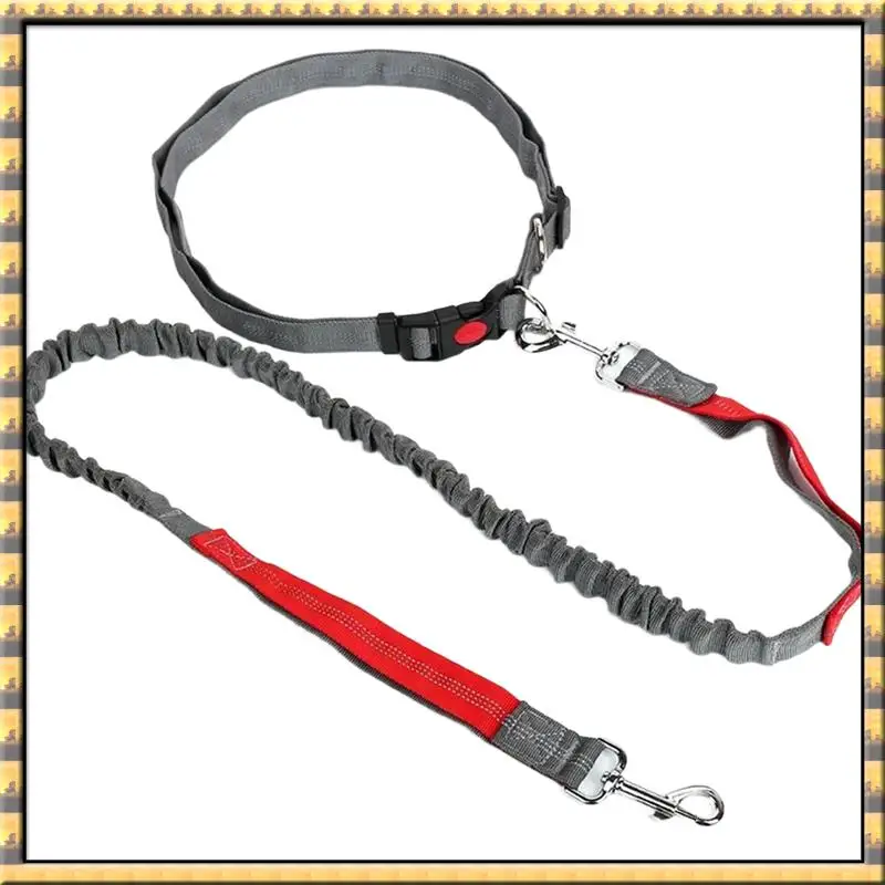 Apr.Pet Elasticity … - image