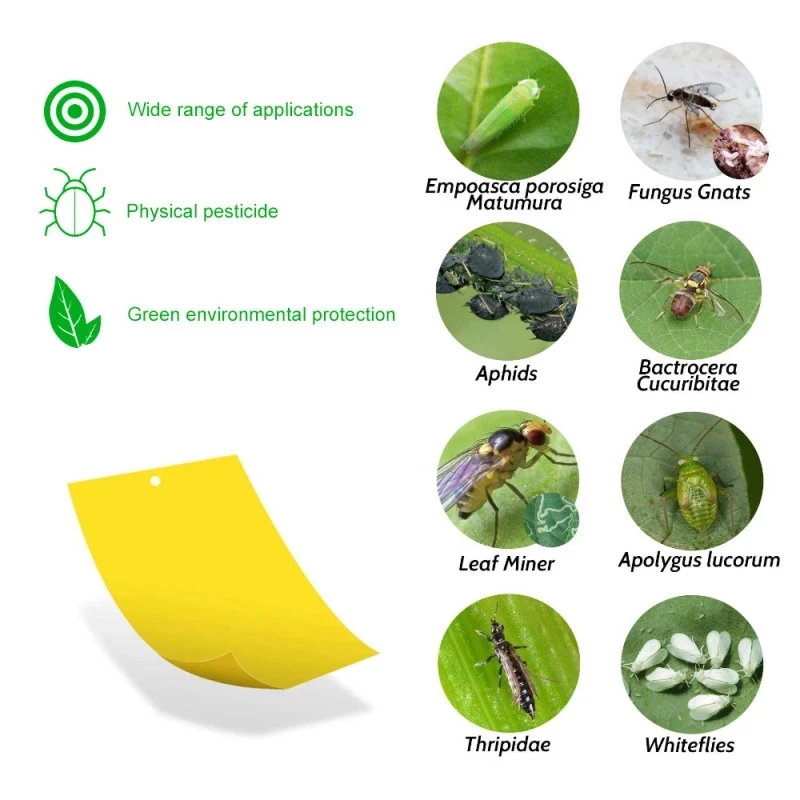 Pièges Autocollants pour Serre Jaune, Panneau Collant pour Insectes Volants Multiples, Double Face, 5/10/20 Pièces