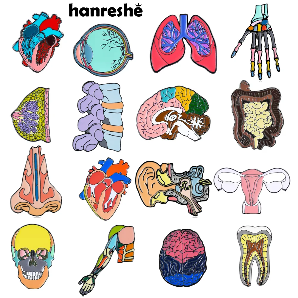 Hanreshe Enamel Organ Broochs Pins Wholesale Medical Anatomy Kidney Brain Heart Skull Badges Medicine Jewelry for Doctor Nurse