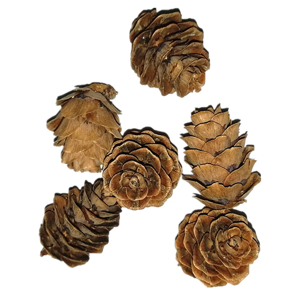 

50 Pcs Small Pine Cone Vase Filler Miniature Cones Garland Crafting Logs Bulk Ornaments Photo Props Decorate