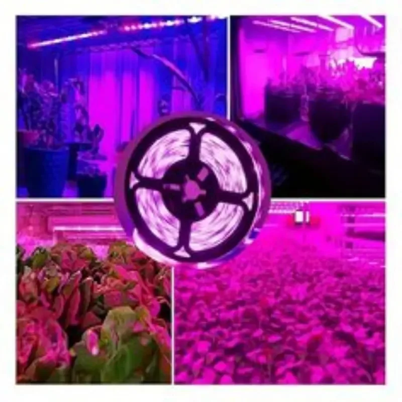 1M/2M/3M/5M/10M LED Full Spectrum LED Plant Growth Light 60 Lamp Beads/M Strip LED Fitolampy Greenhouse Plant Seed Growth Light
