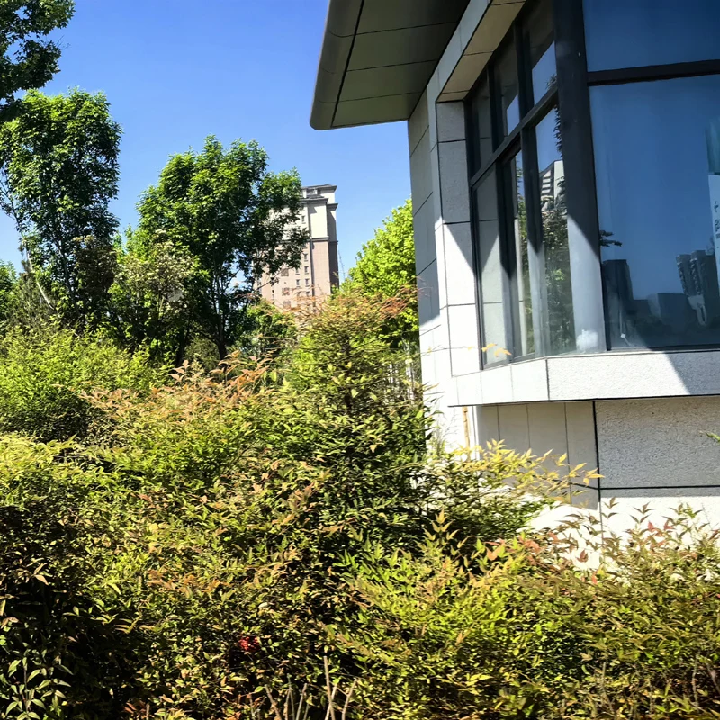 

Машина для резки овощей из нержавеющей стали, ломтик, огурец, морковь, капуста, измельчитель зеленого лука, машина для нарезки кубиками