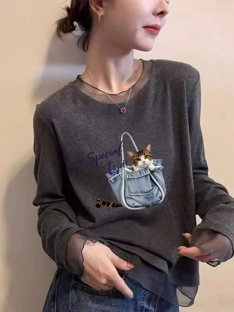 Korean Style Long Sleeve T-Shirt Women's Mesh Lace under Shirt Fashionable Versatile Slimming Top Commute Style Winter Season