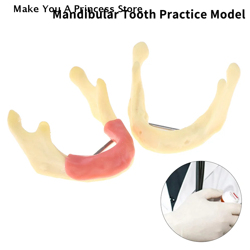 

Модель стоматологического лечения, анатомия десен, десна, модель ткани нижней части, стоматолог, обучение, демонстрационная модель зубов, стоматологическая лаборатория