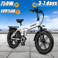 RINCC R200 Off-Road Electric Bike 750W Powerful Motor 48V15Ah Battery Foldable Electric Bicycle 20*4.0\